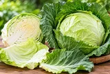 Bắp cải lá màu xanh hay màu trắng giàu dinh dưỡng hơn?