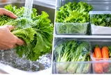 Có nên rửa hay không nên rửa rau trước trước khi cất tủ lạnh