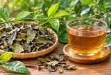 Những người nên cẩn thận khi uống nước xạ đen, không phải ai cũng phù hợp