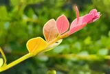 Thoáng nhìn 3 thói quen, biết ngay một người dư dả hay túng thiếu 