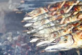 Loại cá tốt trên thế giới ở Việt Nam đang vào mùa, xưa ít người ăn nay thành đặc sản từ 150.000 đồng/kg, tốt hơn cá hồi
