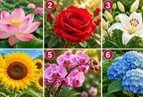 Chọn 1 bông hoa bạn ấn tượng nhất, xem bạn có vận may tài chính thế nào?