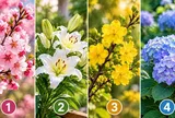 Chọn 1 cành hoa để xem gu thẩm mỹ của bạn
