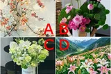 Trắc nghiệm: Chọn một bức tranh, hé lộ bạn chiếm vị trí quan trọng đến đâu trong trái tim người ấy