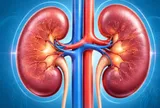 Biểu hiện buổi sáng cảnh báo bệnh thận: Đừng vội bỏ qua 6 dấu hiệu này