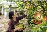 Tuổi nào hợp trồng khế trước cửa nhà?