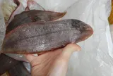 Loại cá tốt trên thế giới ở Việt Nam đang vào mùa, xưa ít người biết đến thành đặc sản từ 100.000 đồng/kg, "tốt hơn cá hồi"