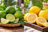 Chanh vàng và chanh xanh loại nào tốt hơn?
