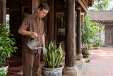 4 tuổi Hợp Duyên trồng cây lưỡi hổ, Tiền cứ thế theo về