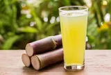 Nhập viện vì mỗi ngày ăn một cây mía chữa tiểu đường theo kiểu “lấy độc, trị độc”