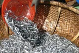 Loại cá tốt trên thế giới ở Việt Nam đang vào mùa, xưa giá rẻ bèo nay thành đặc sản từ 65.000 đồng/kg, tốt hơn cá hồi
