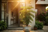 3 vị trí tốt nhất trồng cây Đinh Lăng: Tiền Vào Như Nước