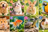 Chọn 1 thú cưng bạn đang ấn tượng để xem điều gì đang chờ đợi phía trước