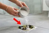 Đổ muối xuống đường ống thoát nước có tác dụng gì?