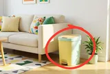 Vì sao không nên đặt thùng rác ở phòng khách?