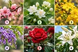 Bông hoa bạn chọn có thể nói lên điều giúp bạn thành công trong thời gian tới