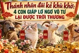 Thánh nhân đãi kẻ khù khờ: 4 con giáp lớ ngớ vô tư lại được trời thương