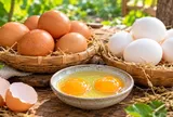 Trứng gà vỏ nâu và trứng gà vỏ trắng: Loại nào bổ dưỡng hơn?