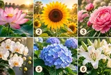 Chọn 1 bông hoa bạn ấn tượng để xem tố chất nào trong bạn đang mạnh mẽ nhất