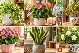 Chọn 1 cây cảnh để xem người khác nghĩ gì về bạn