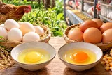 Lòng đỏ trứng gà vàng nhạt hay vàng đậm "xịn" hơn?