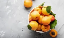 Quả mơ – “siêu thực phẩm” cho làn da: dưỡng ẩm, chống lão hóa và làm sáng tự nhiên