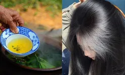 Cách gội đầu bằng nước chè xanh làm sạch gàu, giảm bết, tóc con mọc tua tủa
