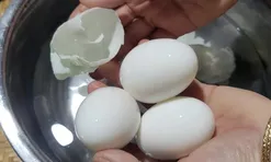 Trứng luộc bao nhiêu phút là ngon nhất?