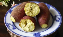 Cách luộc khoai lang ngọt bùi, bở tung