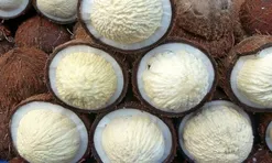 Món nhà nghèo xưa ăn đến chán ngán, nay thành đặc sản khoái khẩu giá 250.000 đ/kg, người thành phố ưa chuộng