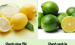 Sử dụng chanh xanh hay chanh vàng tốt hơn?