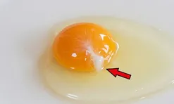 Trứng gà đập ra có sợi trắng đục: Có ăn được không?