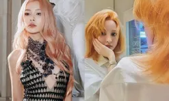Nhuộm tóc sáng màu làm mới diện mạo: Mỹ nhân Vbiz người "thăng hạng" khí chất, người bị nhận xét "dừ đi"