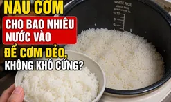 Nấu cơm cho bao nhiêu nước vào để cơm dẻo, không khô cứng?