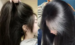 7 loại lá tự nhiên giúp tóc khỏe, giảm rụng, tóc con đua nhau mọc