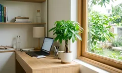 Cây kim ngân đặt ở đâu để vừa đẹp vừa hợp phong thủy?