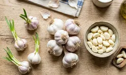 Mẹo bảo quản tỏi cả năm không mọc mầm, thơm ngon như mới mua