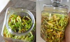 Cách làm hoa đu đủ đực ngâm mật ong để được lâu