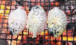 Loài cá có tên của một loại trái cây, xưa không ai ăn nay thành đặc sản 350.000 đ/kg, du khách thích mê