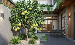 Vị trí trồng cây bưởi hút lộc vào nhà