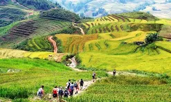 5 cung đường trekking dọc miền đất nước, có nơi là “nóc nhà” Đông Dương, thách thức dân phượt