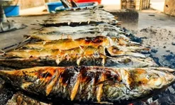 Loại cá tốt trên thế giới ở Việt Nam bán đầy chợ giá từ 40.000 đồng/kg, xưa ít người ăn nay thành đặc sản, tốt hơn cá hồi