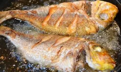 Cách rán cá không ngấm dầu, da vàng ươm, giòn rụm