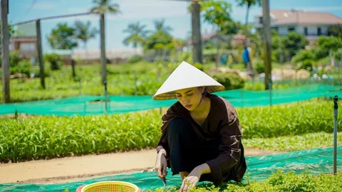 Hoa hậu Tiểu Vy mặc áo nâu giản dị, hết hái rau lại nấu mỳ Quảng siêu ngon