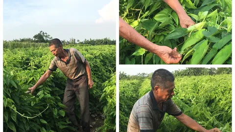 Cận cảnh những phận đời lam lũ mưu sinh ở bãi giữa sông Hồng trong “bão” Covid - 19