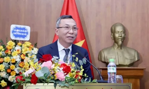 VFF báo lãi, đặt mục tiêu đi World Cup
