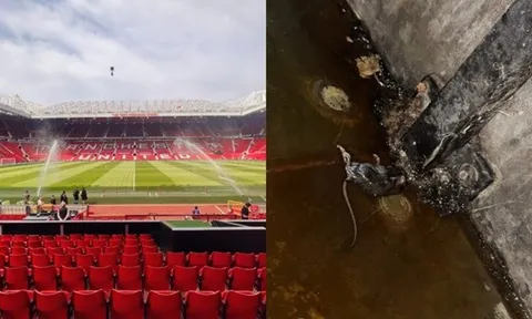 Chuột chết xuất hiện tại Old Trafford, người hâm mộ phẫn nộ