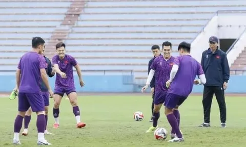 Fan Đông Nam Á dự đoán kết quả trận Việt Nam - Indonesia
