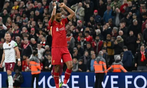 Tương lai Cody Gakpo: Liverpool giữ chân trụ cột hay Bayern "đánh cắp" ngôi sao?