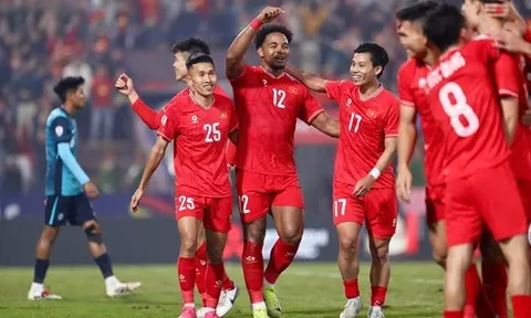 Việt Nam và hành trình đứng trước cửa vô địch AFF Cup 2024